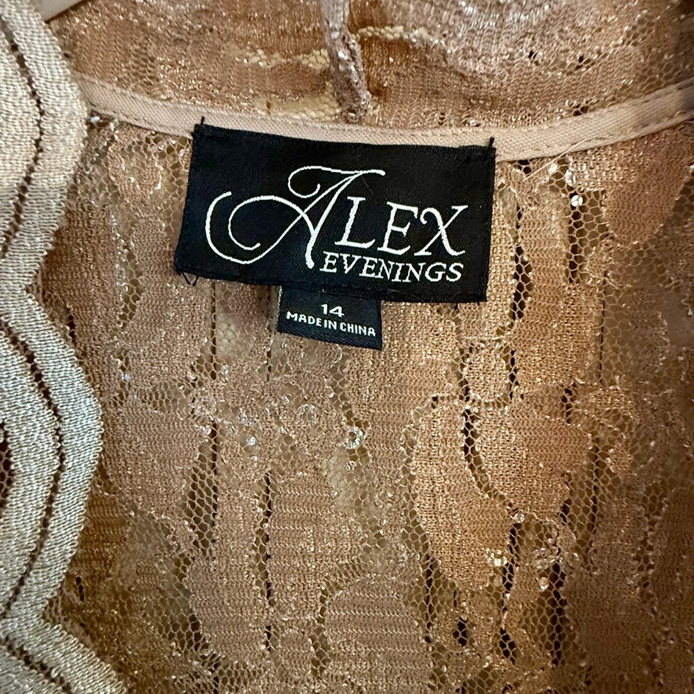 Like New! Alex Evening Elegant Lace Dress Set in Tan-Gold! Size 14 - Picture 6 of 8